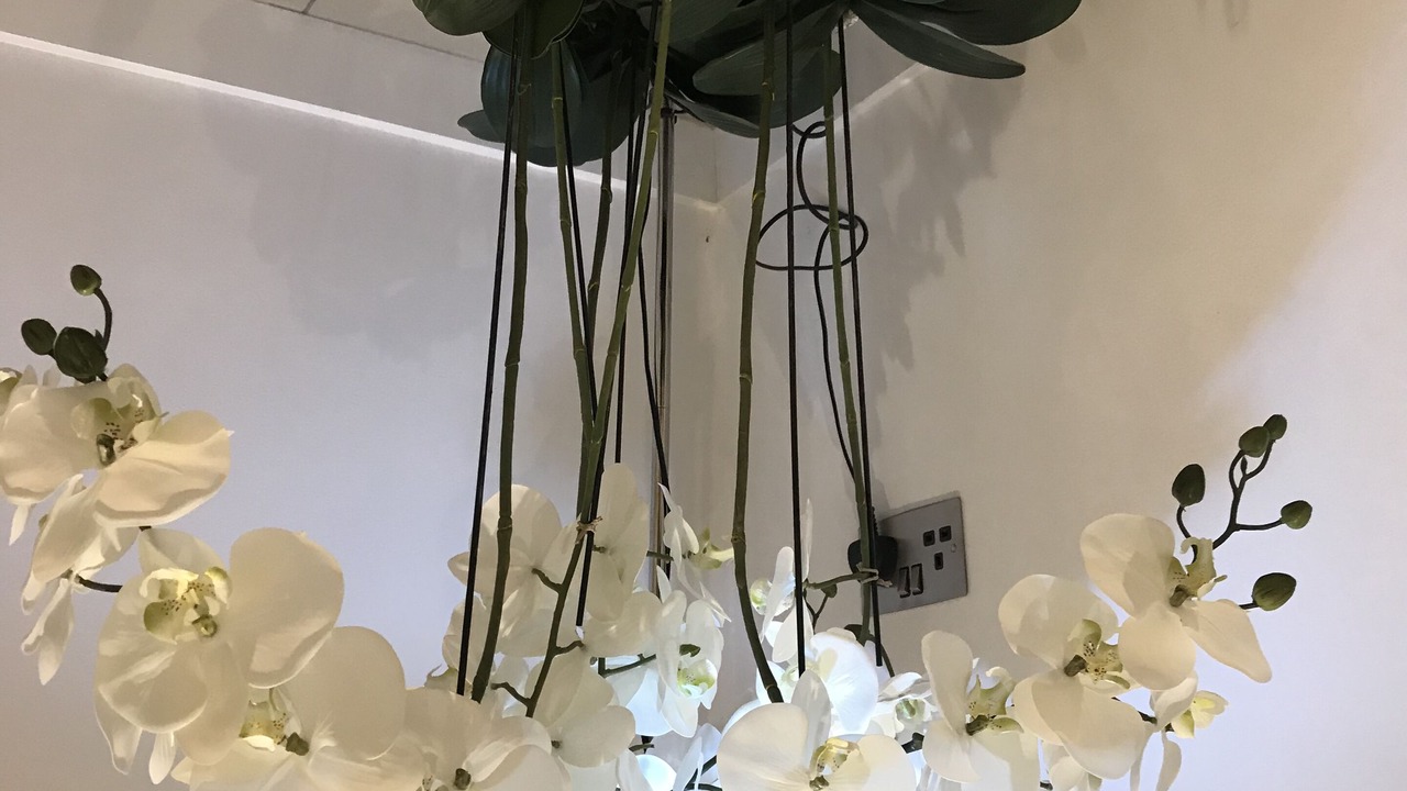 Photo of Others in Gloucester