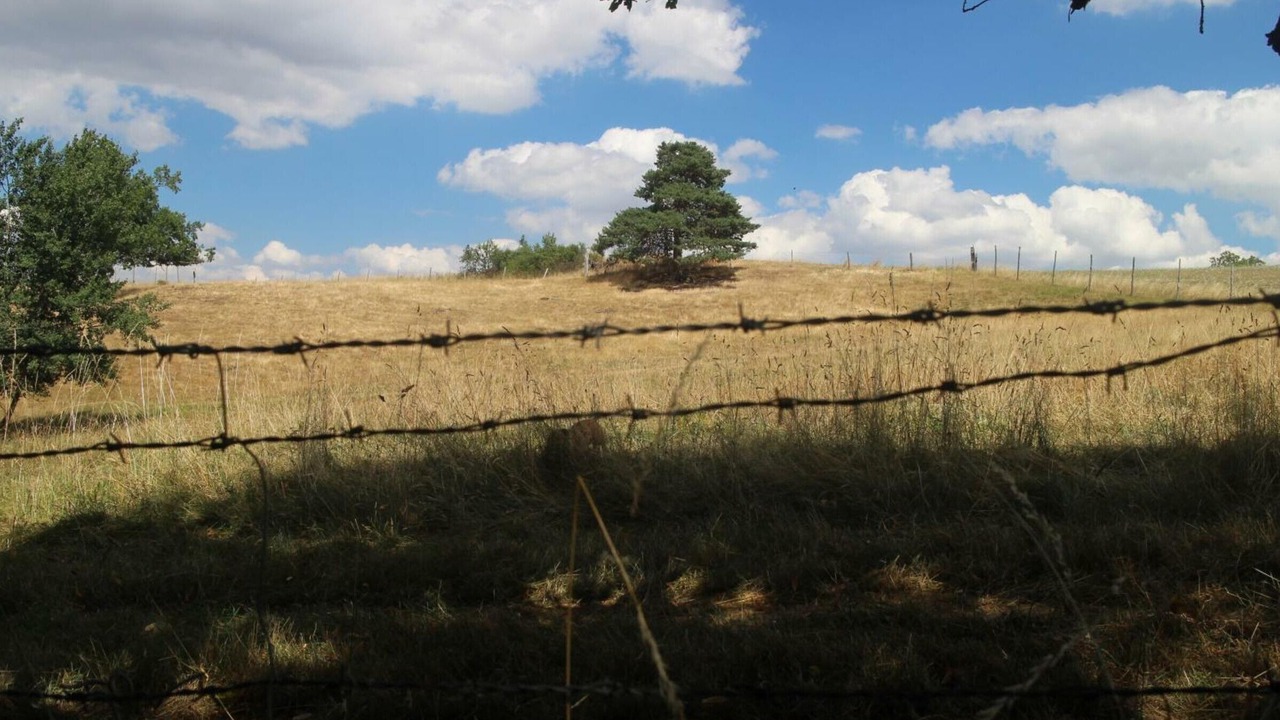 Photo of Outdoor in Montbrison