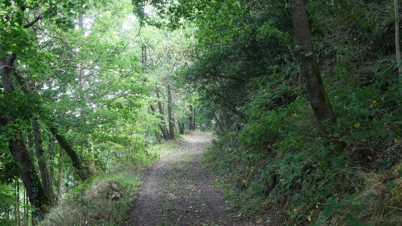 Photo of Outdoor in Montbrison
