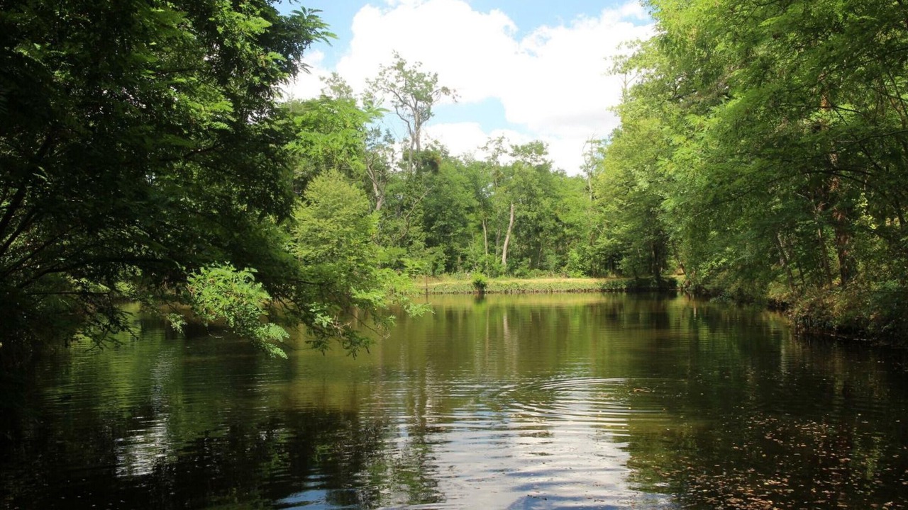 Photo of Outdoor in Montbrison