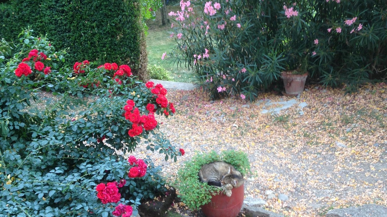 Photo of Outdoor in Cadalen