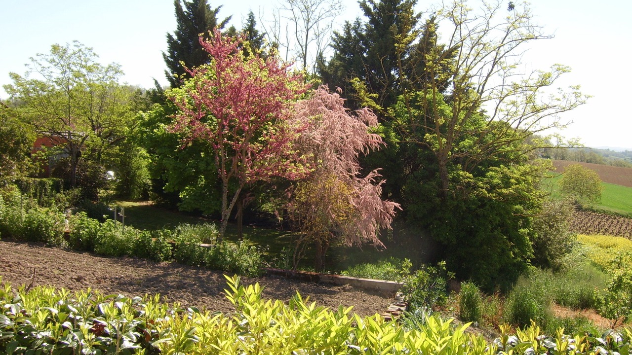 Photo of Outdoor in Cadalen