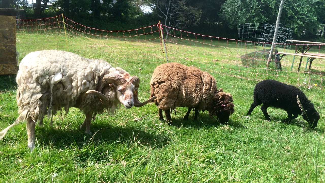 Photo of Outdoor in Guidel-Plages