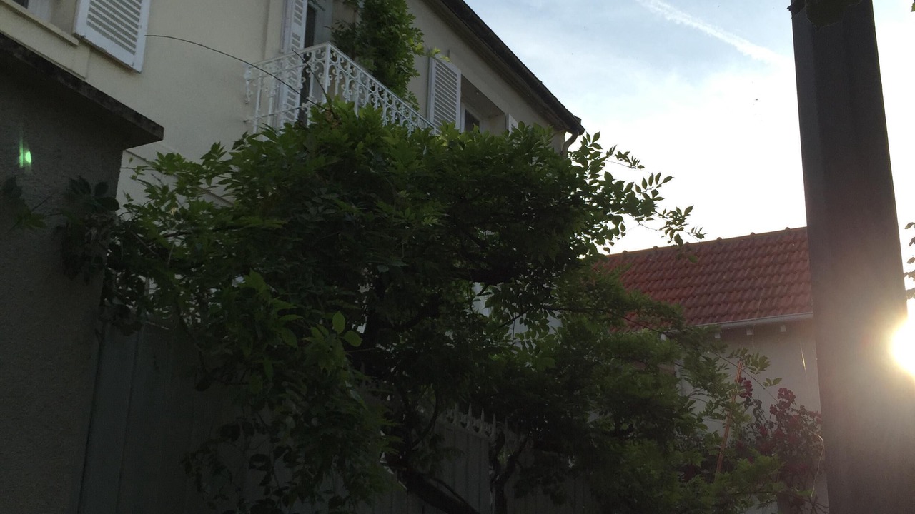 Photo of Outdoor in Fontainebleau