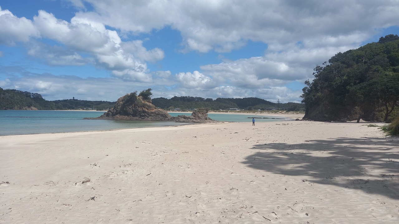 Photo of Others in Matapouri