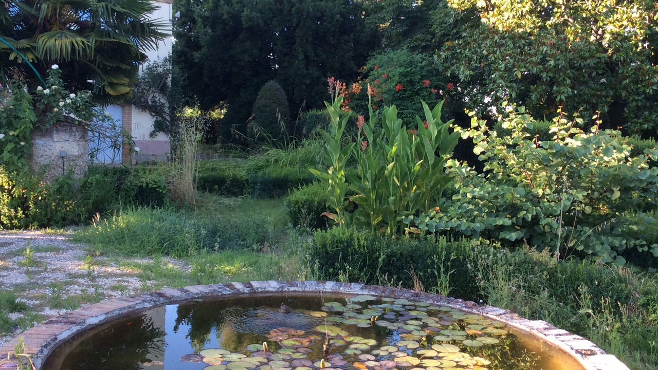 Photo of Outdoor in Lisle-sur-Tarn