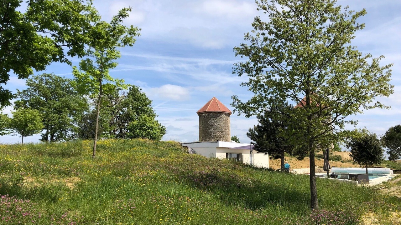 Photo of Outdoor in Lavardens