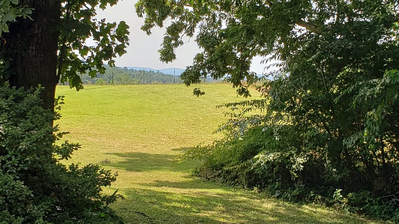 Photo of Outdoor in Hendersonville