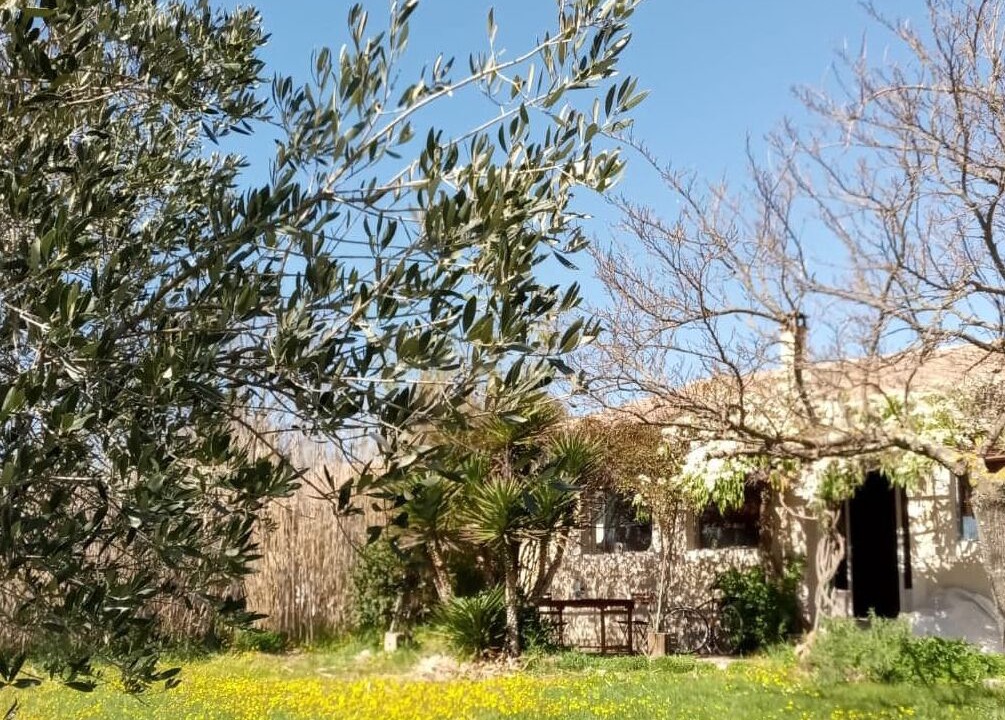 Photo of Outdoor in Lussan