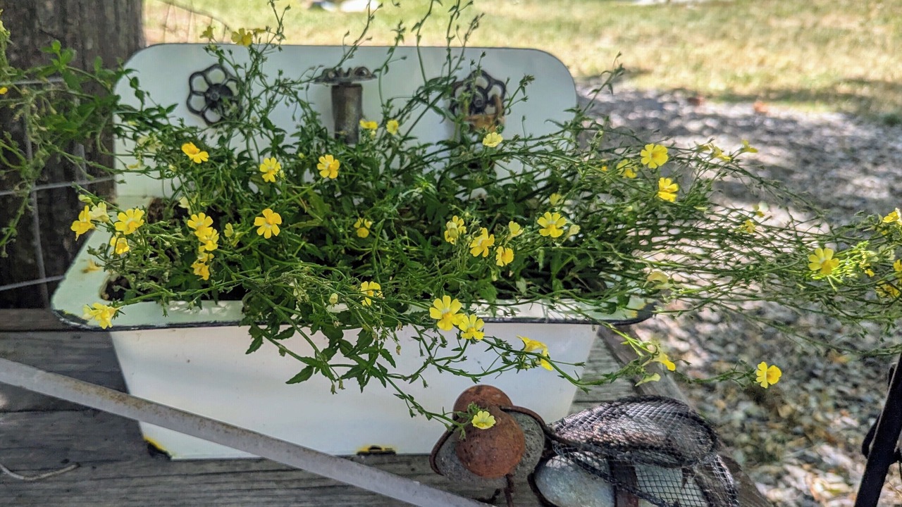 Photo of Outdoor in Salmon