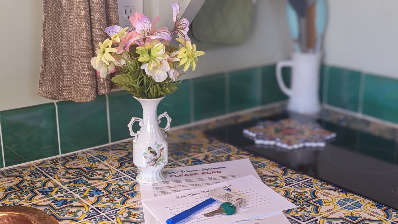 Photo of Others in Salmon