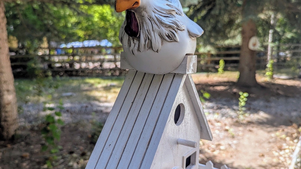 Photo of Outdoor in Salmon