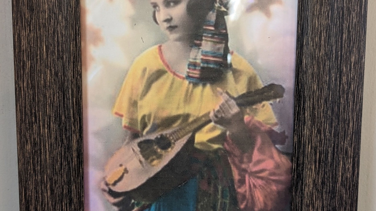 Photo of Others in Salmon