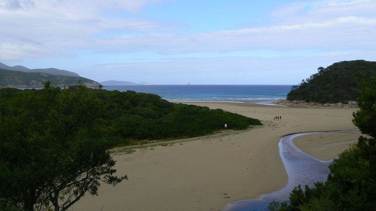 Photo of Others in Sandy Point