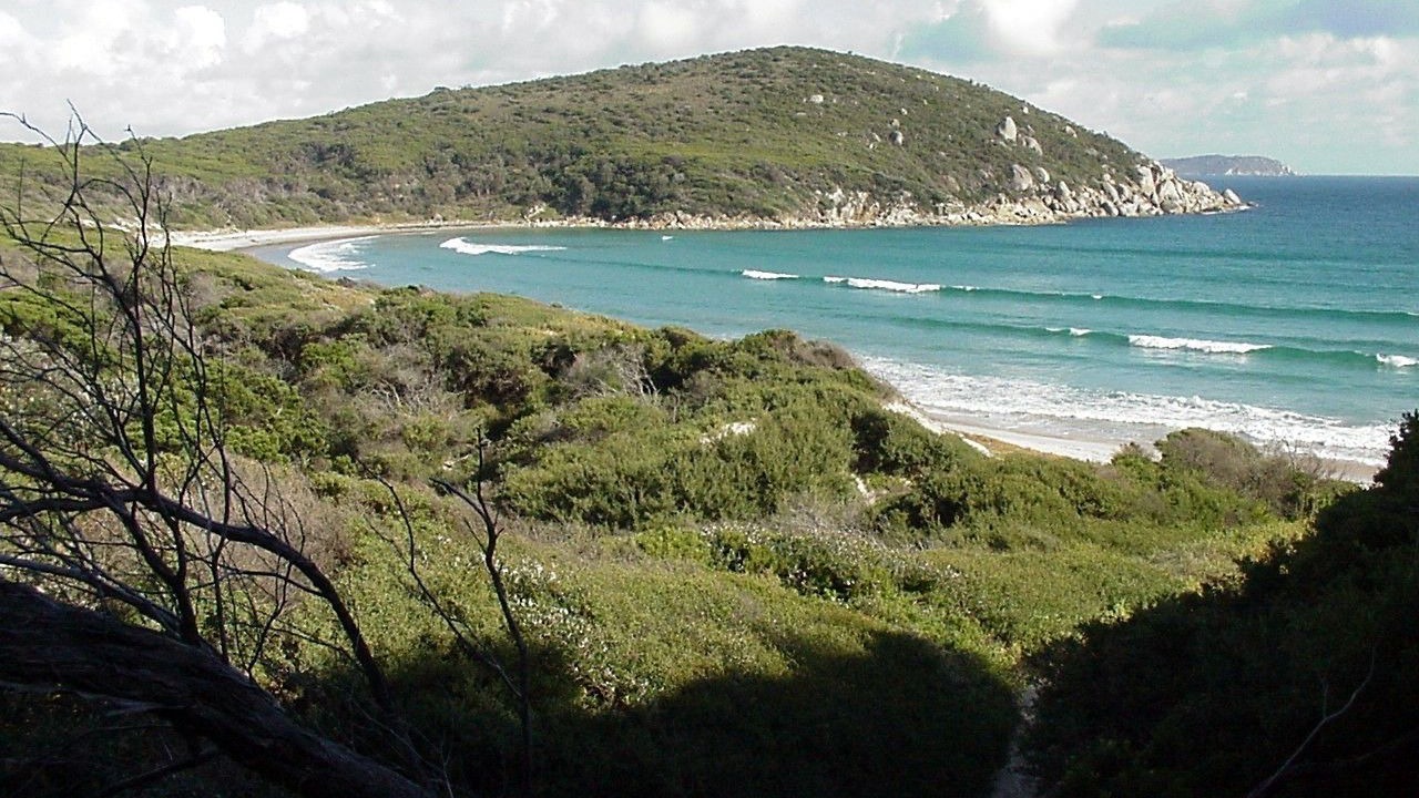 Photo of Others in Sandy Point