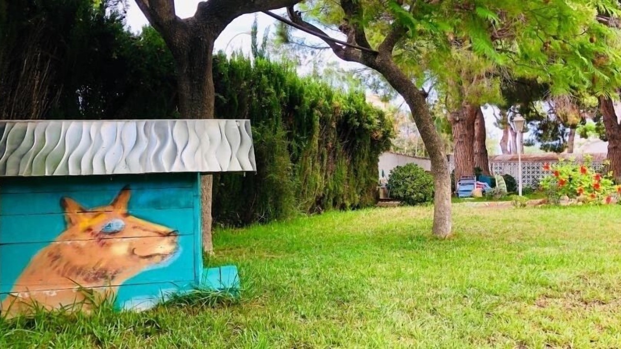 Photo of Outdoor in Benicassim
