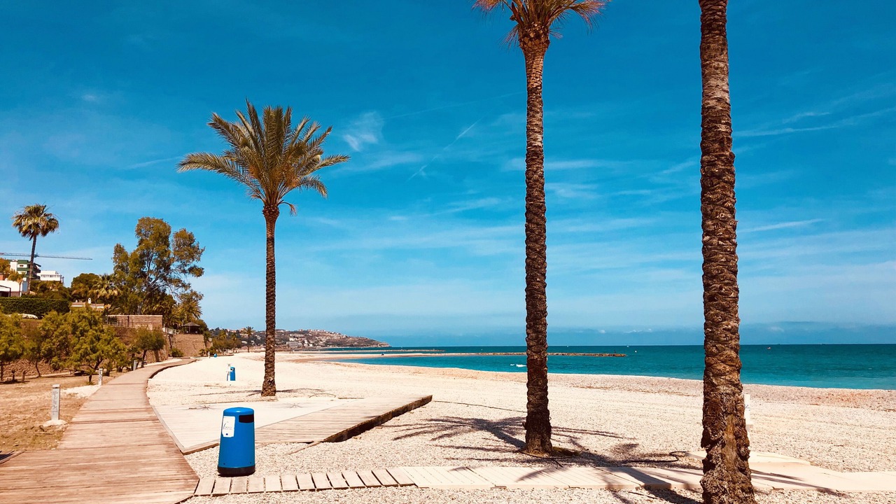 Photo of Others in Benicassim