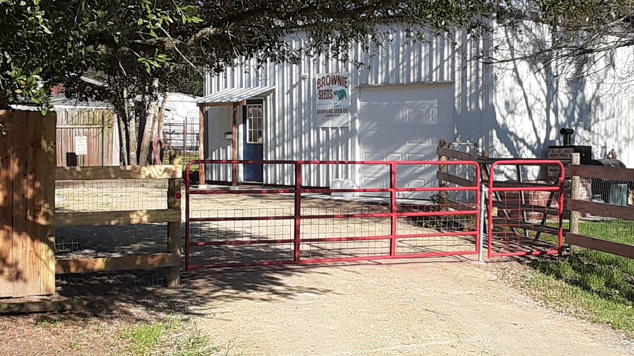 Photo of Outdoor in Bryan