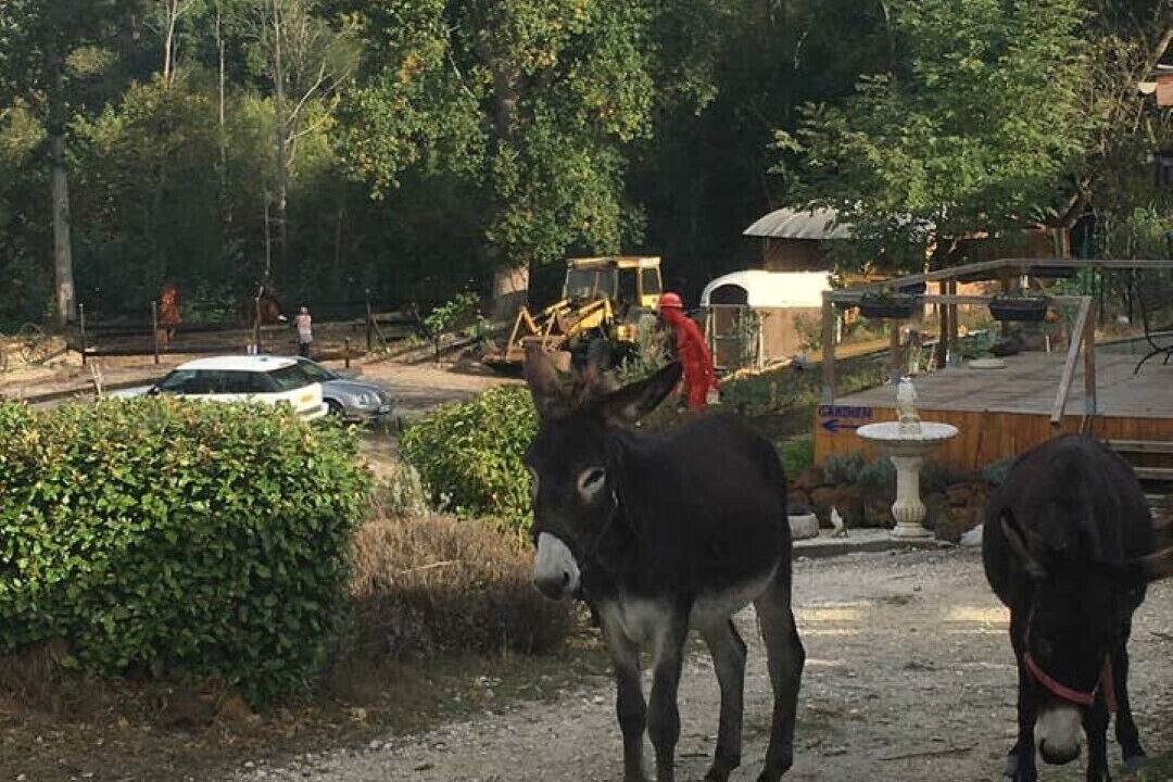 Photo of Outdoor in Belin-Beliet