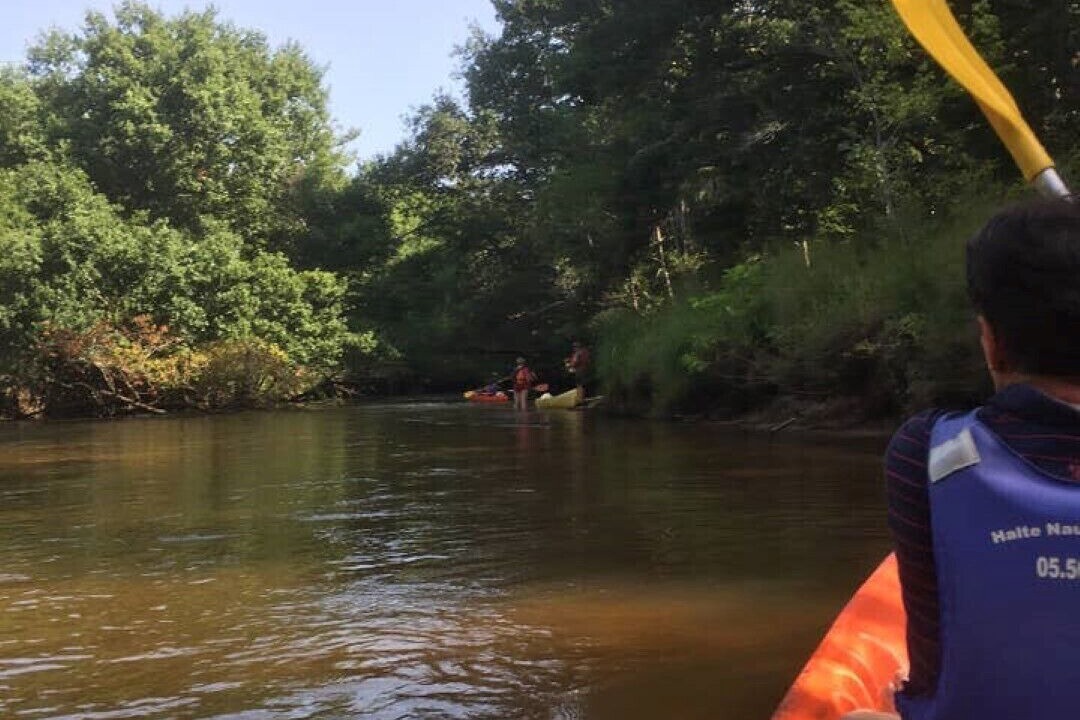 Photo of Others in Belin-Beliet