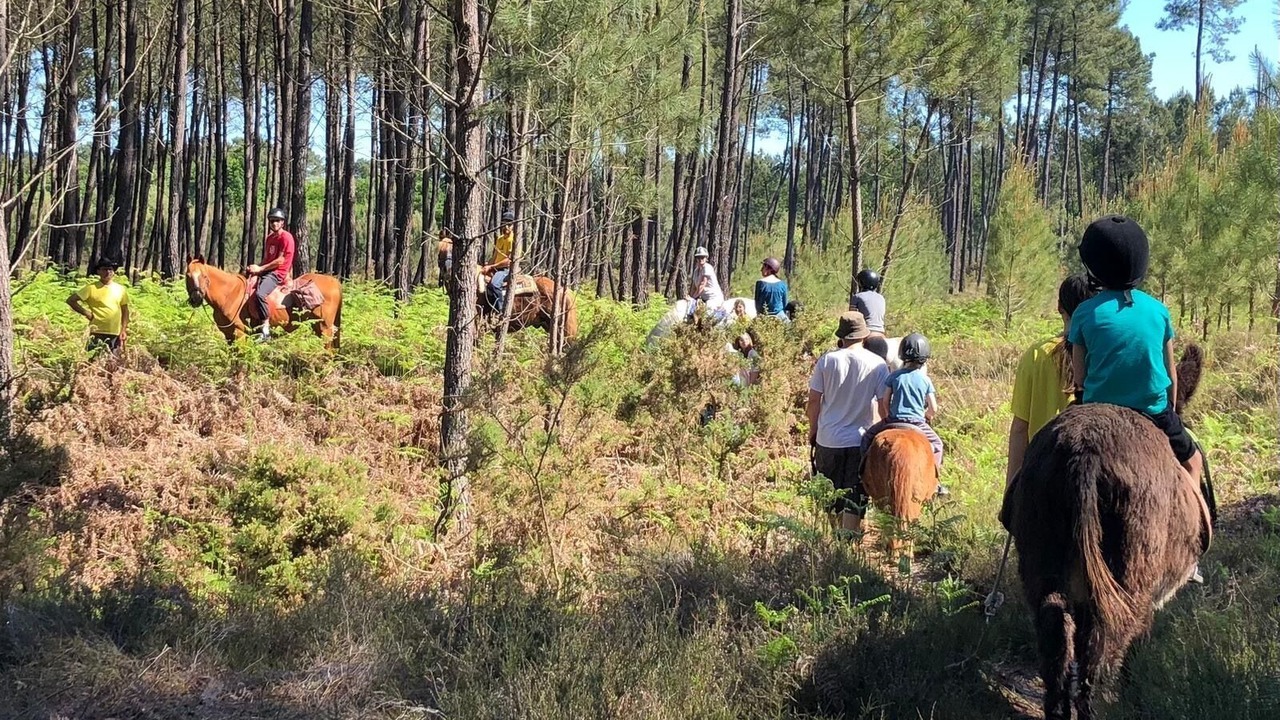 Photo of Others in Belin-Beliet