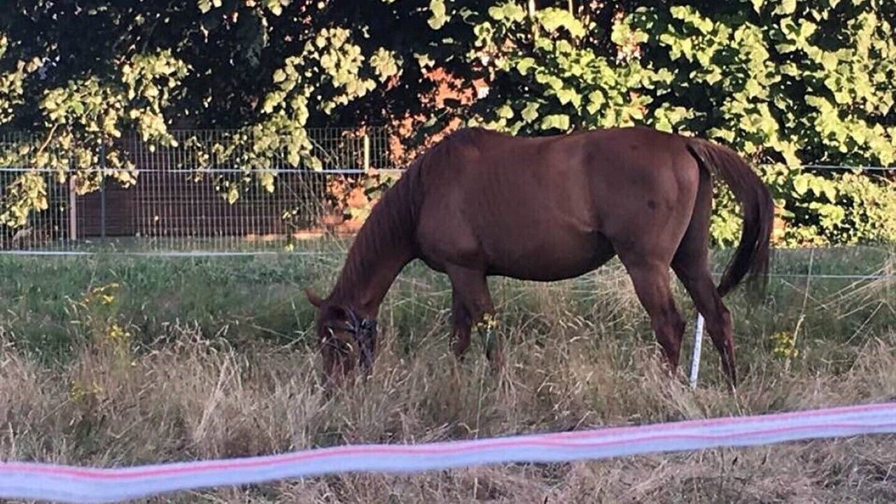 Photo of Outdoor in Belin-Beliet