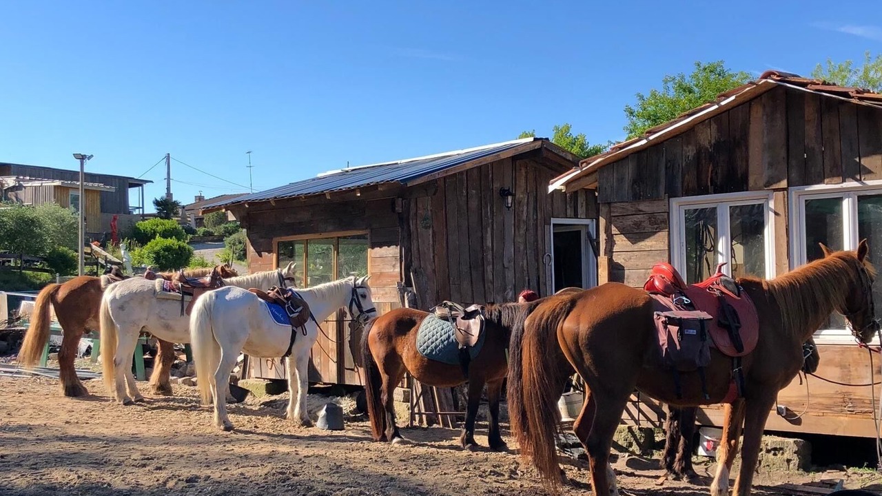 Photo of Others in Belin-Beliet