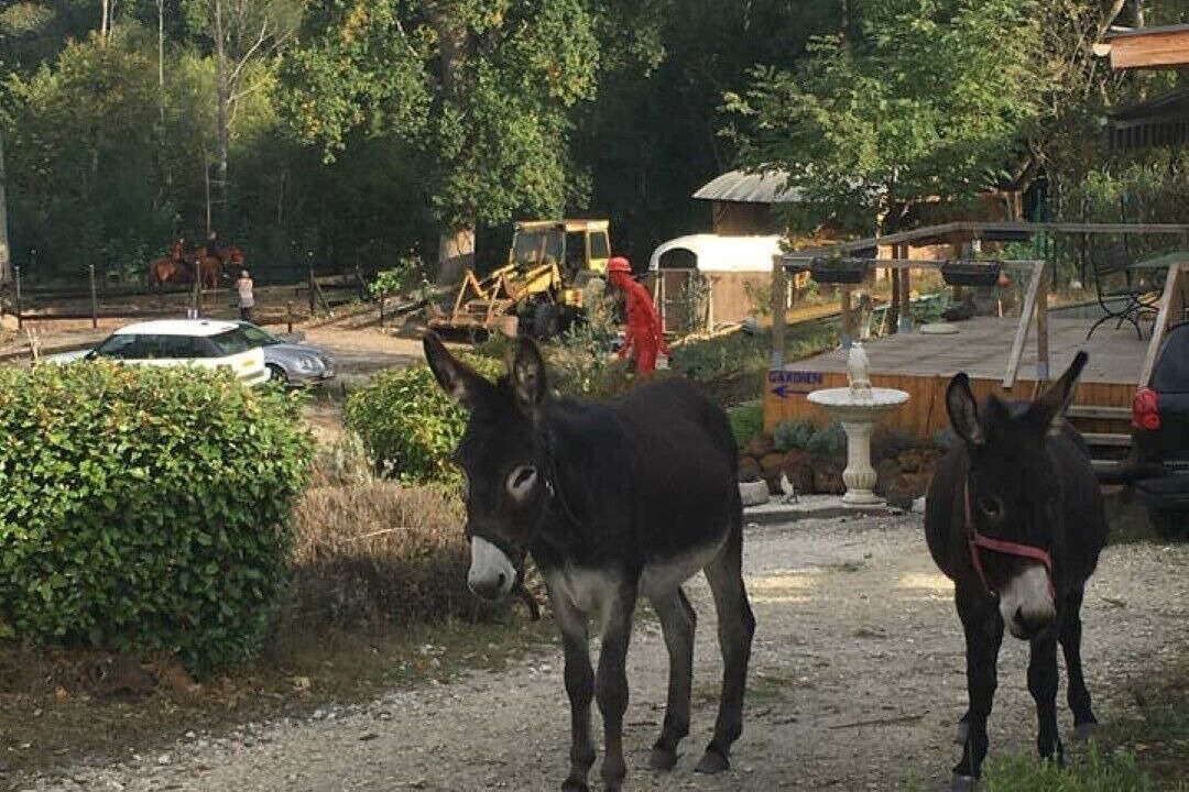 Photo of Outdoor in Belin-Beliet