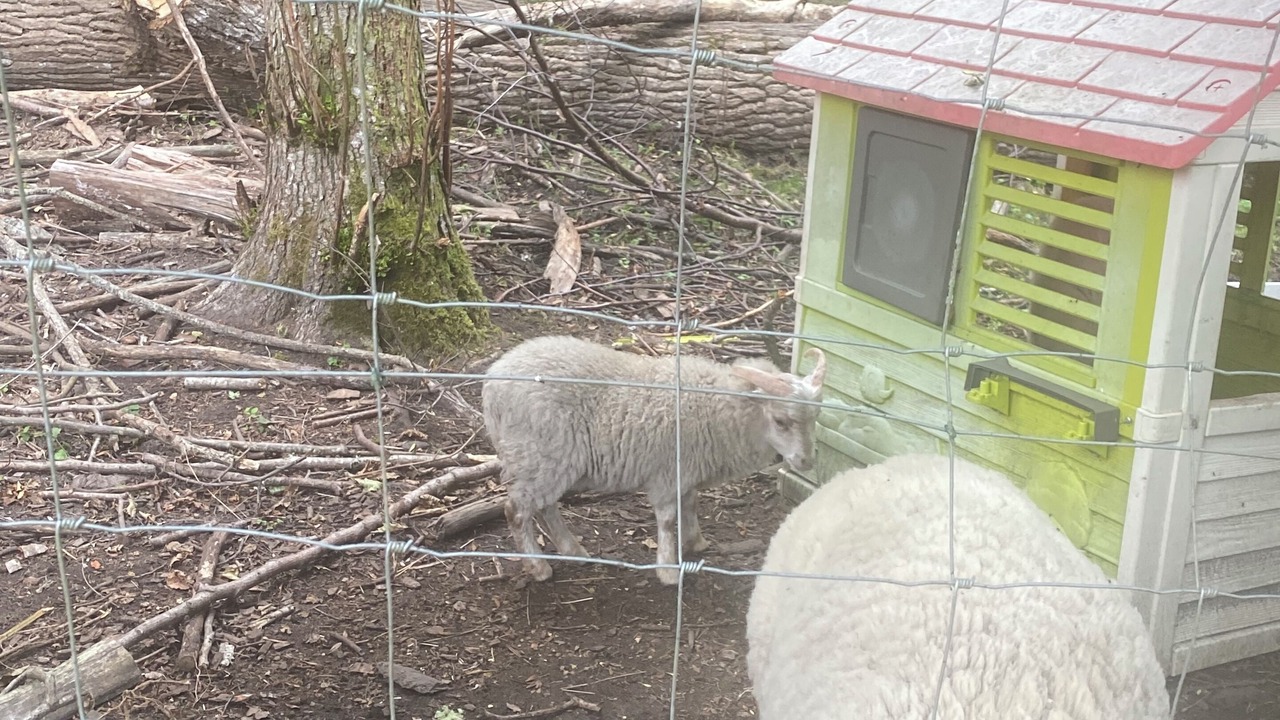 Photo of Outdoor in Belin-Beliet