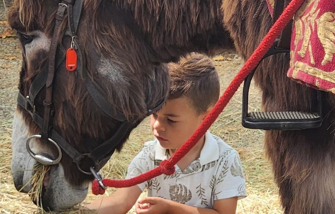 Photo of Others in Belin-Beliet