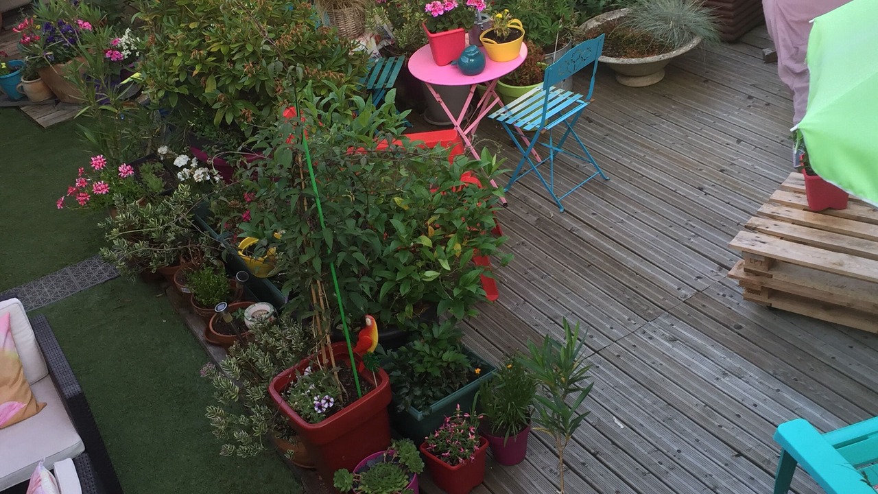 Photo of Patio Balcony in Saint-Maurice-la-Fougereuse