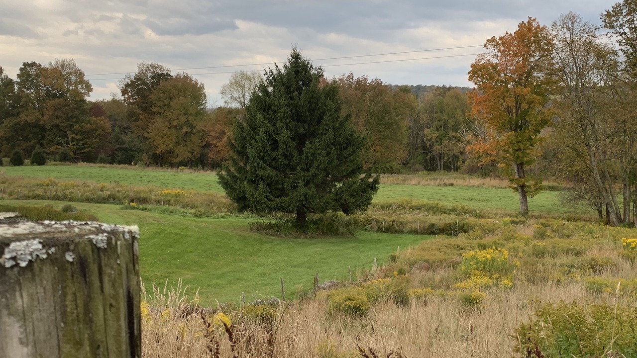 Photo of Others in Callicoon Center