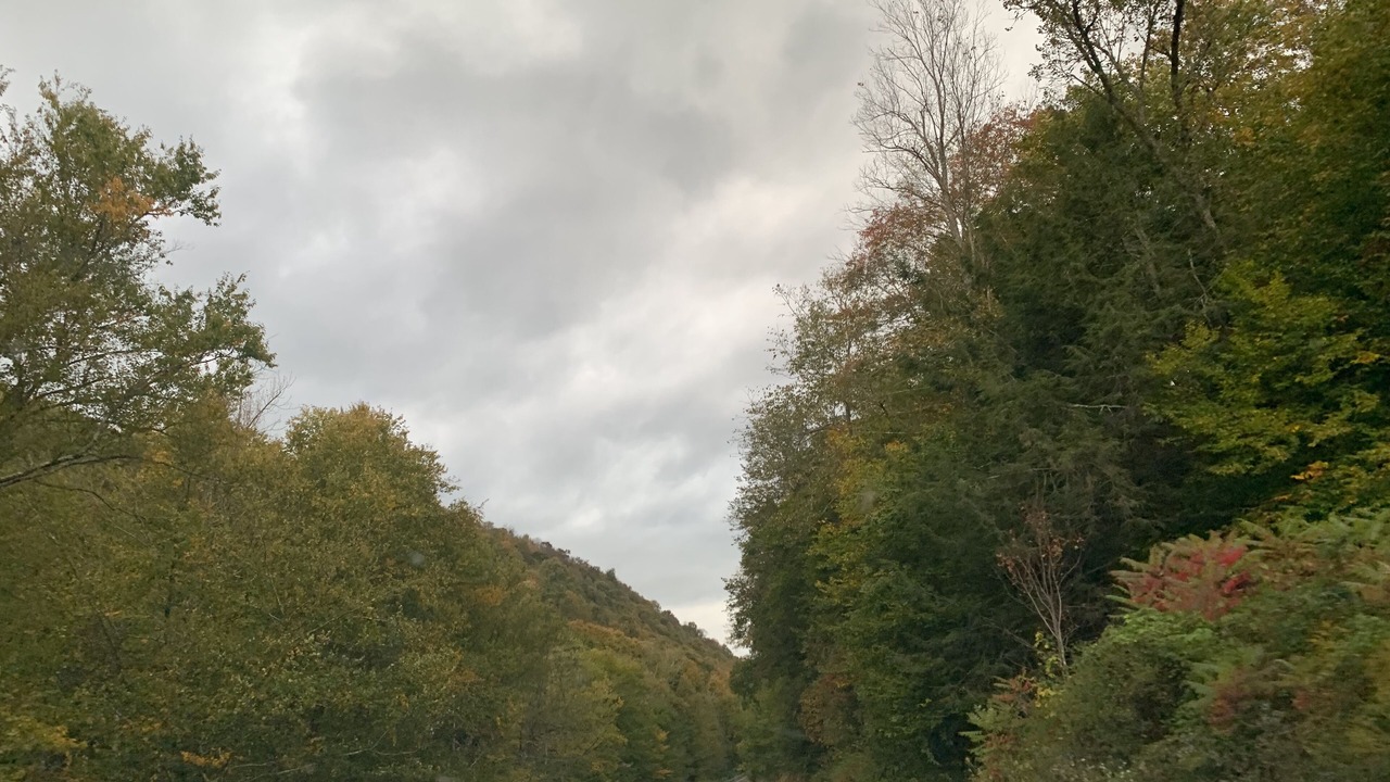 Photo of Others in Callicoon Center