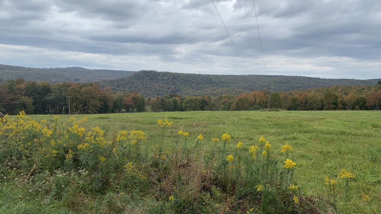 Photo of Others in Callicoon Center