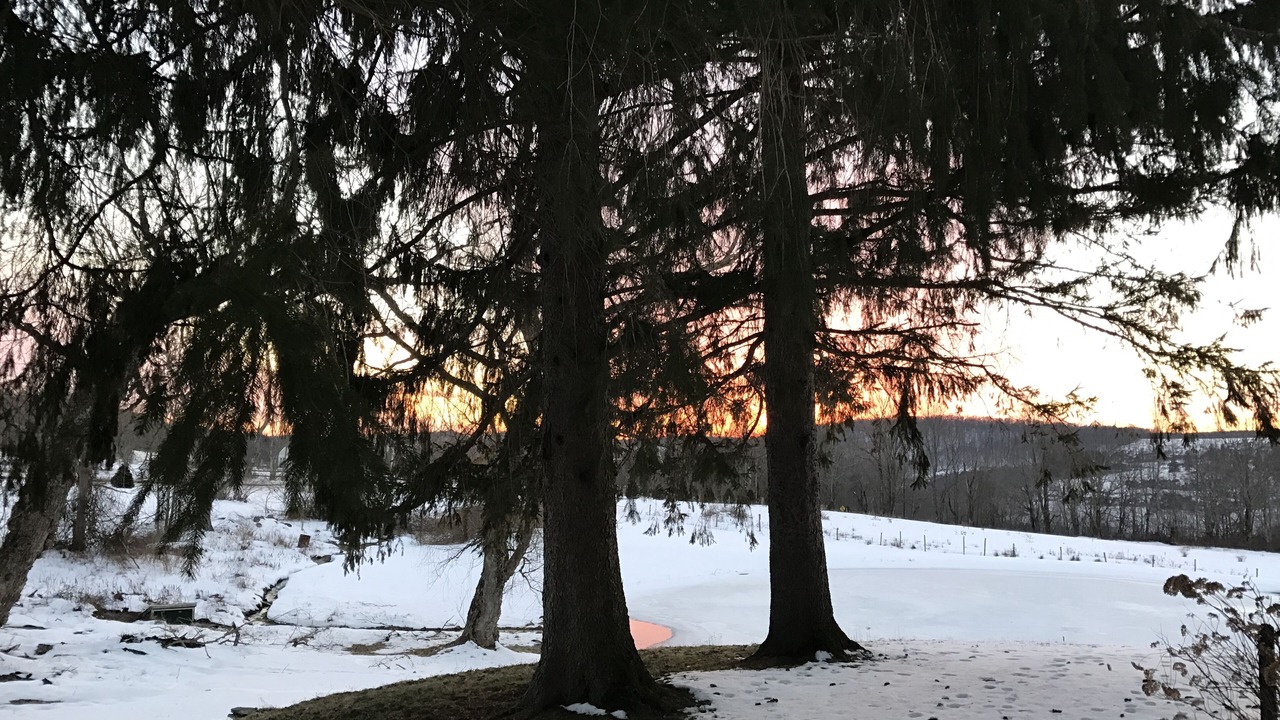 Photo of Others in Callicoon Center