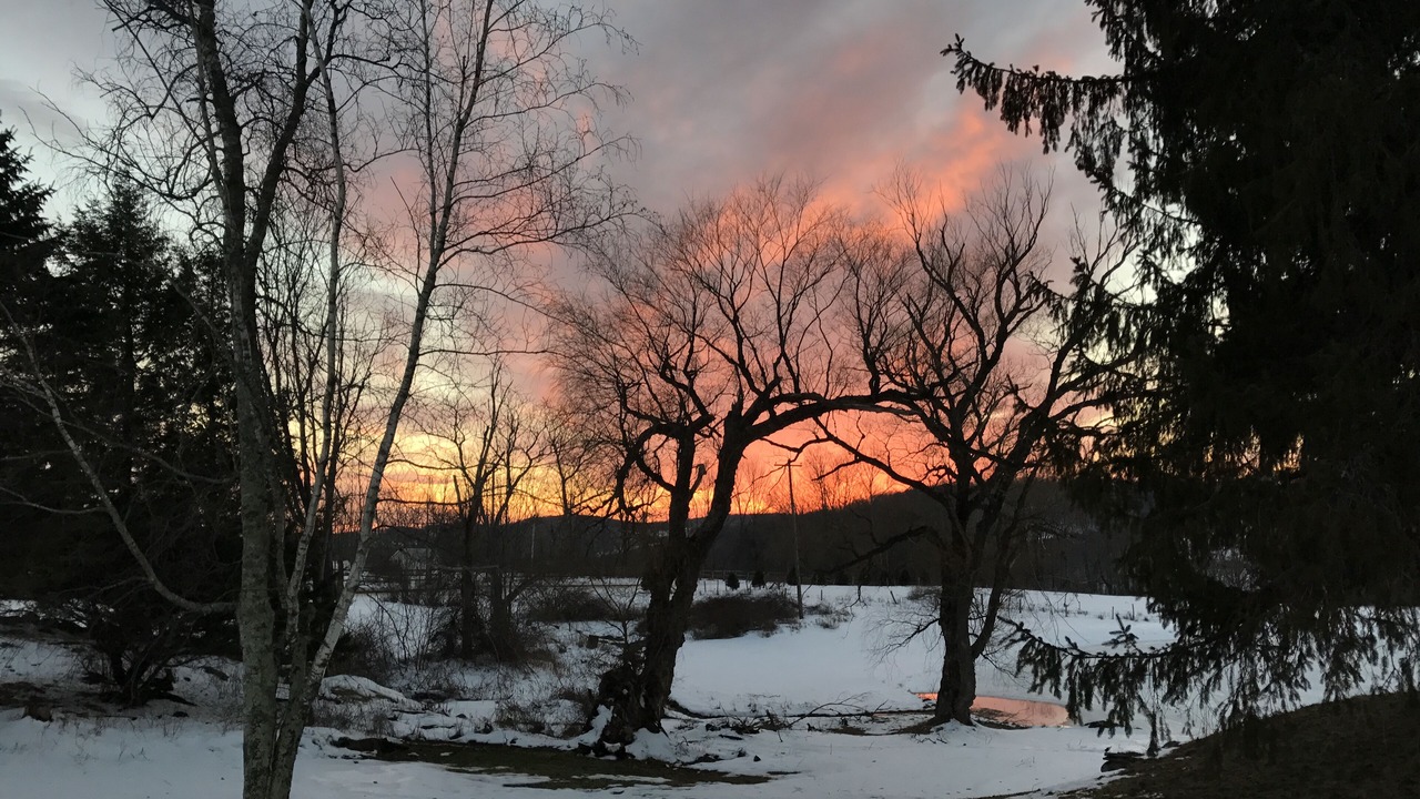 Photo of Others in Callicoon Center
