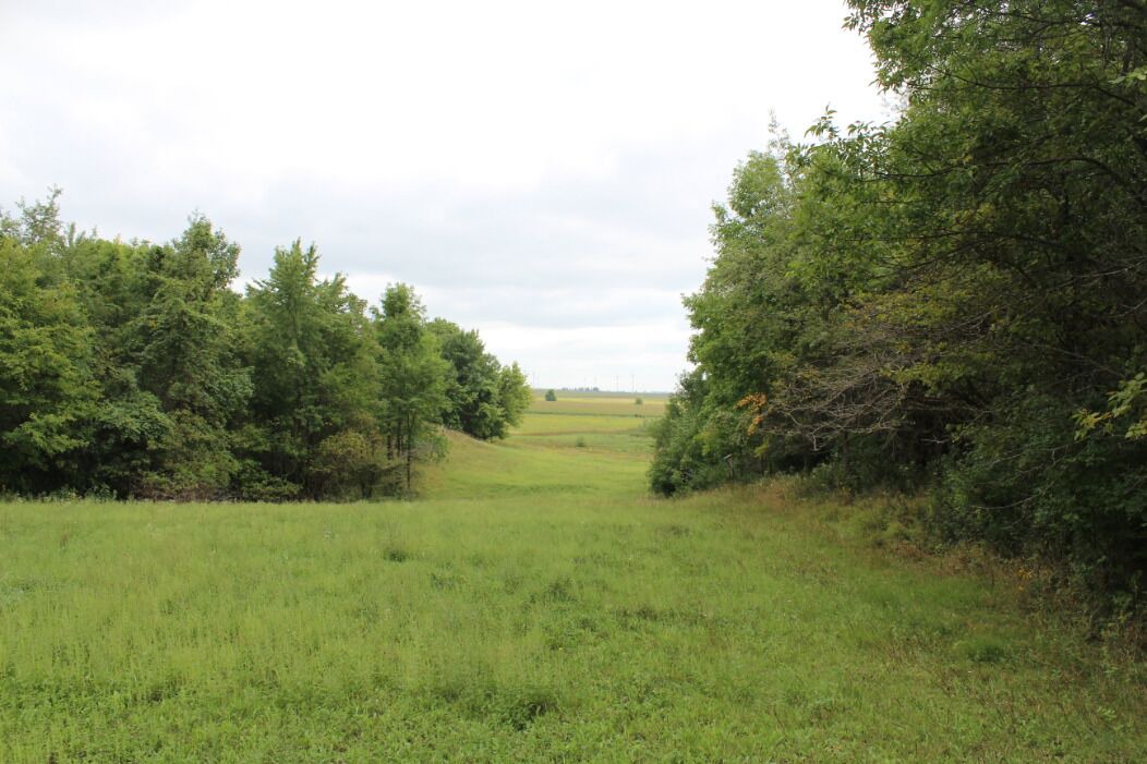 Photo of Outdoor in Clear Lake