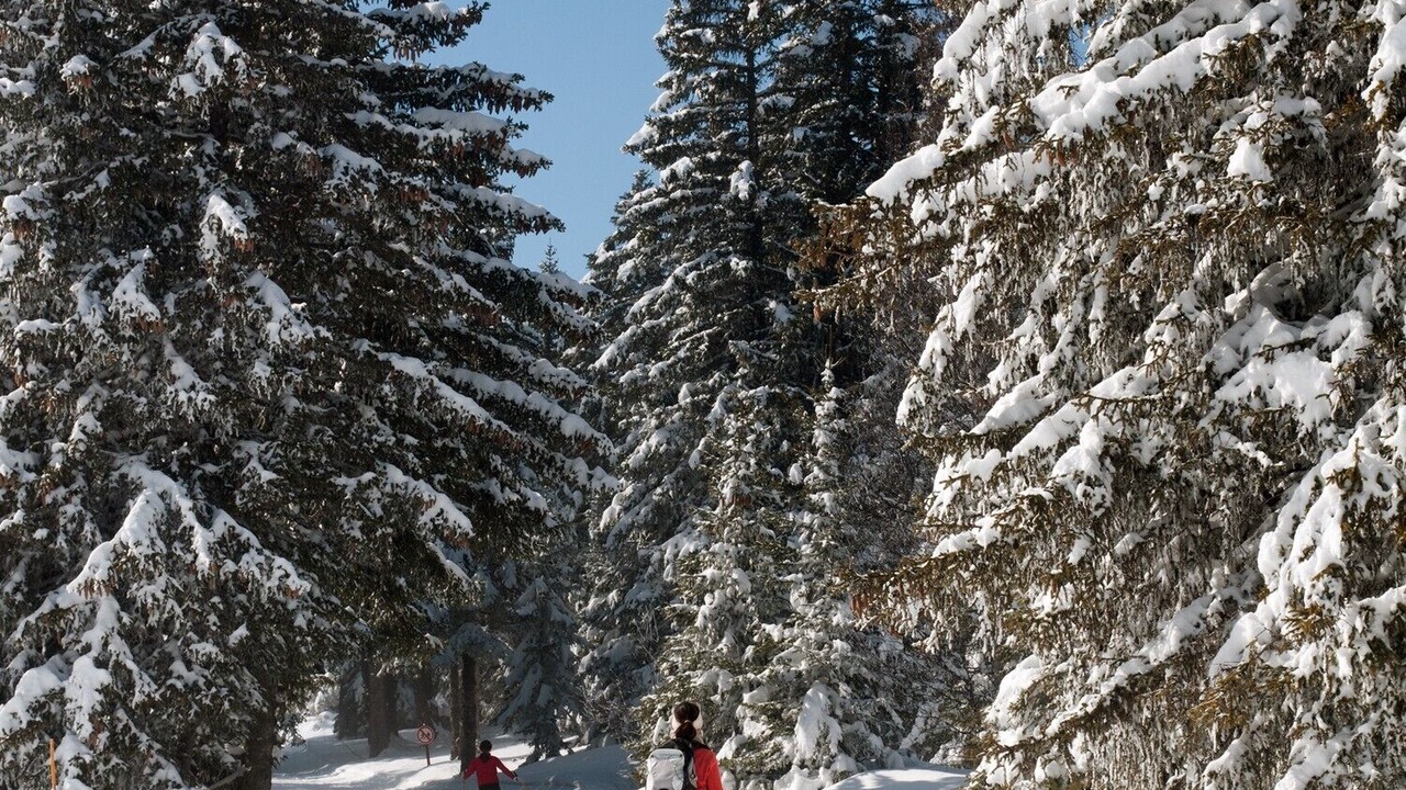 Photo of Others in Chamrousse