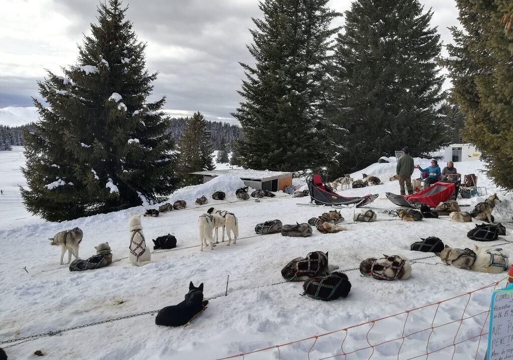 Photo of Others in Chamrousse