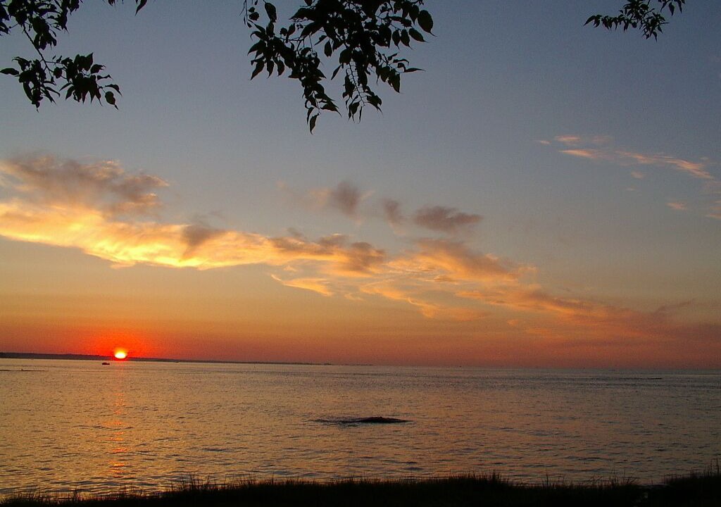 Photo of Others in Guilford