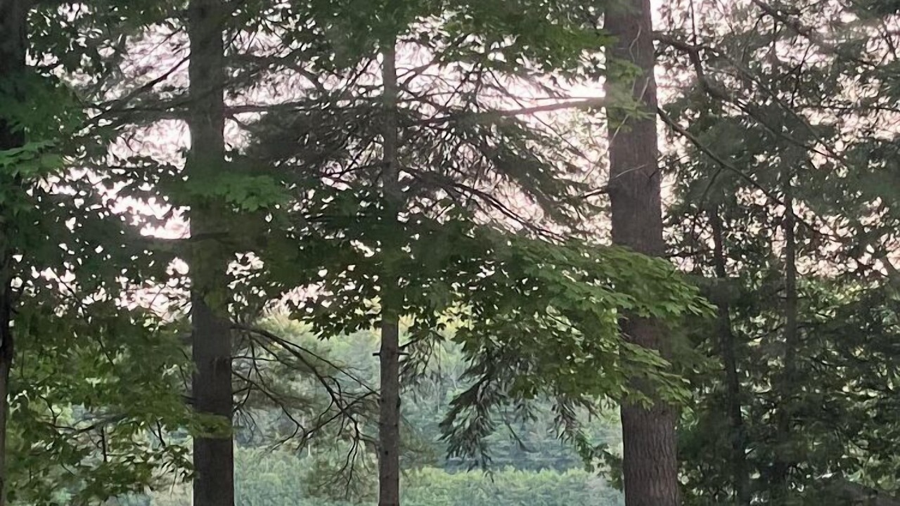 Photo of Outdoor in Minden