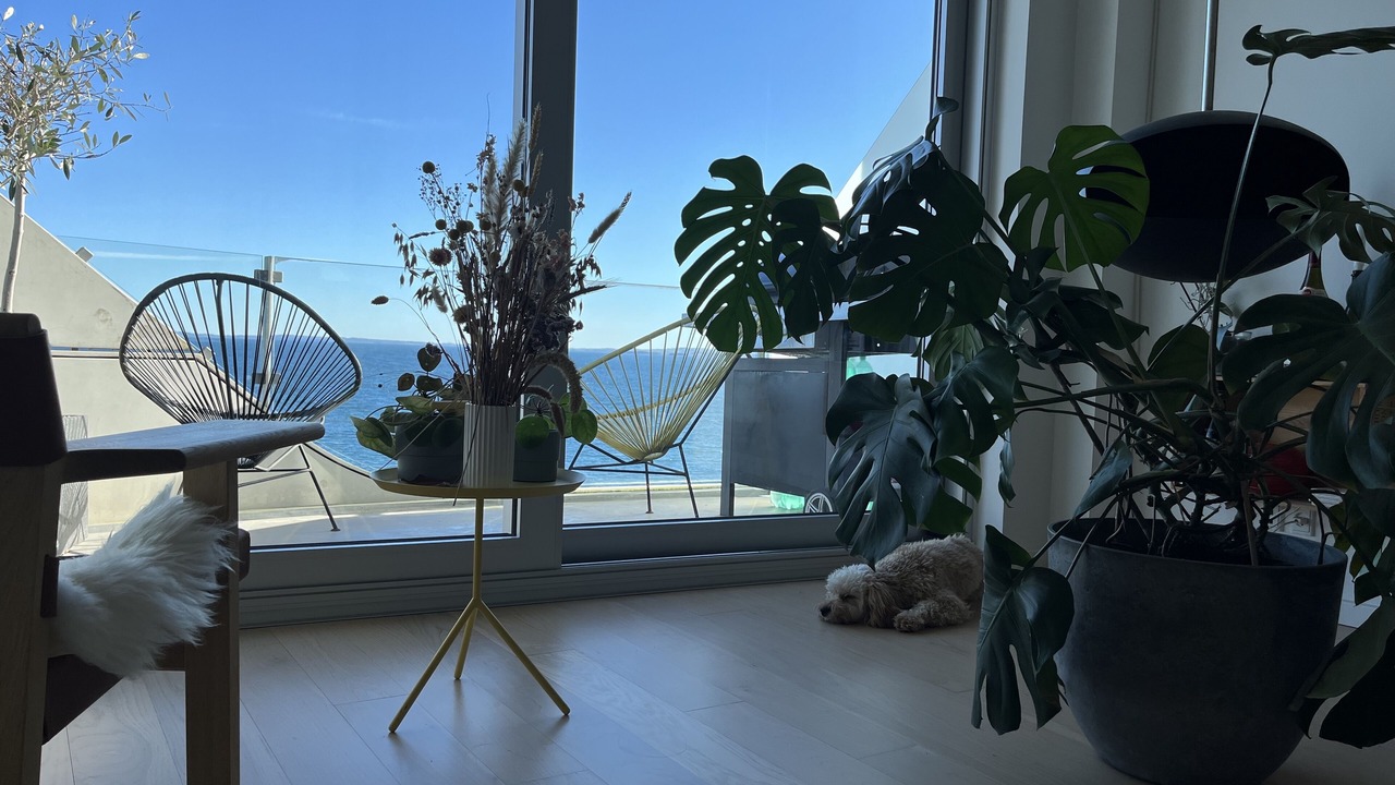Photo of Others in Aarhus C