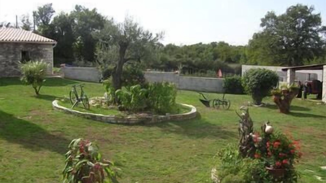 Photo of Outdoor in Sajini