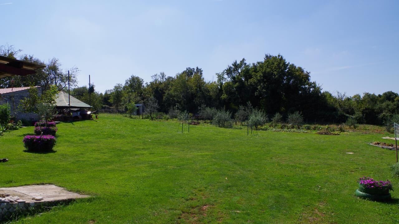 Photo of Outdoor in Sajini