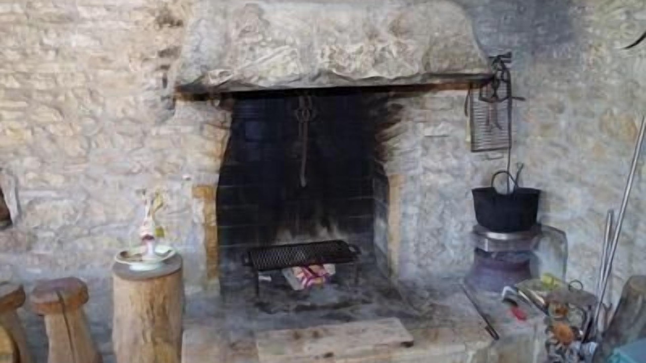 Photo of Others in Sajini