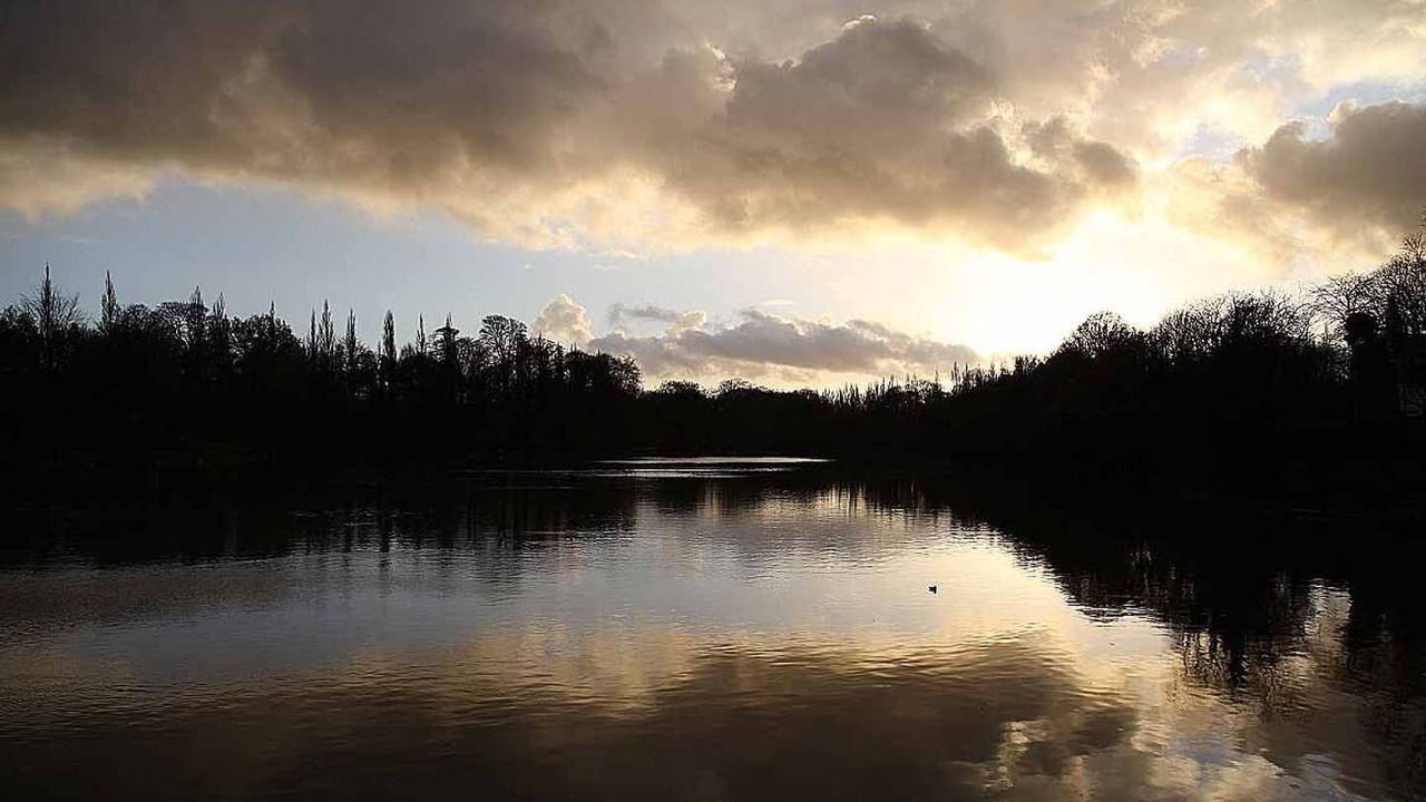 Photo of Outdoor in Warburton