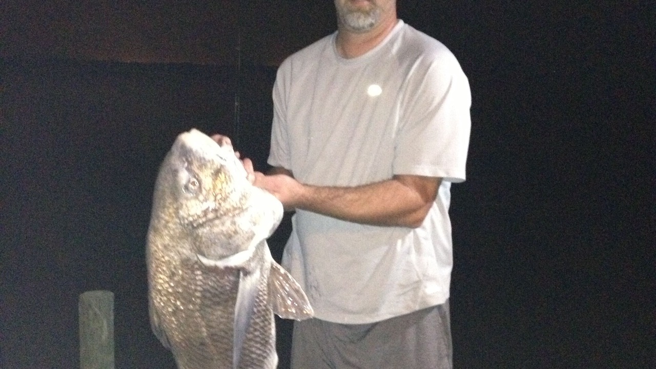 Photo of Others in Port Lavaca