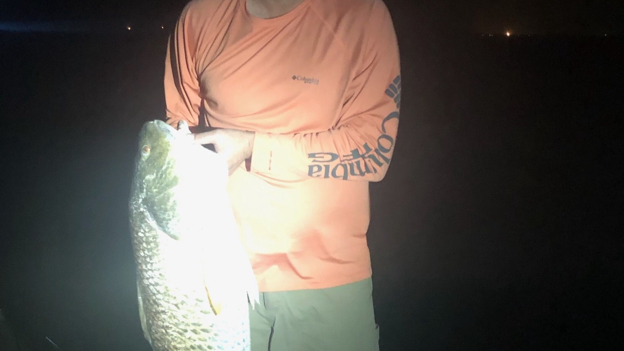 Photo of Others in Port Lavaca