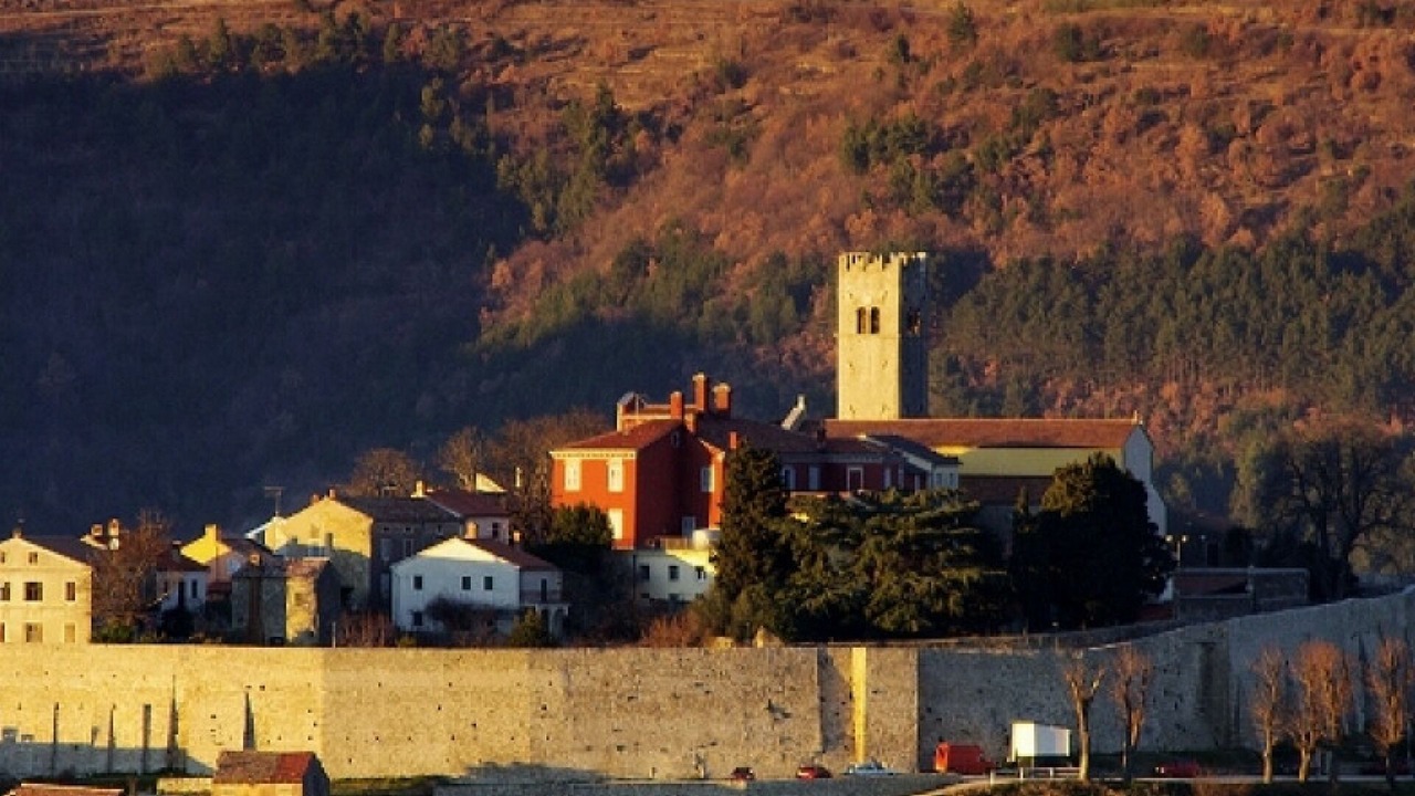 Photo of Outdoor in Novaki Motovunski