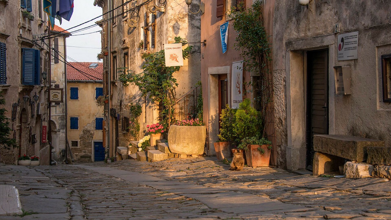 Photo of Outdoor in Novaki Motovunski